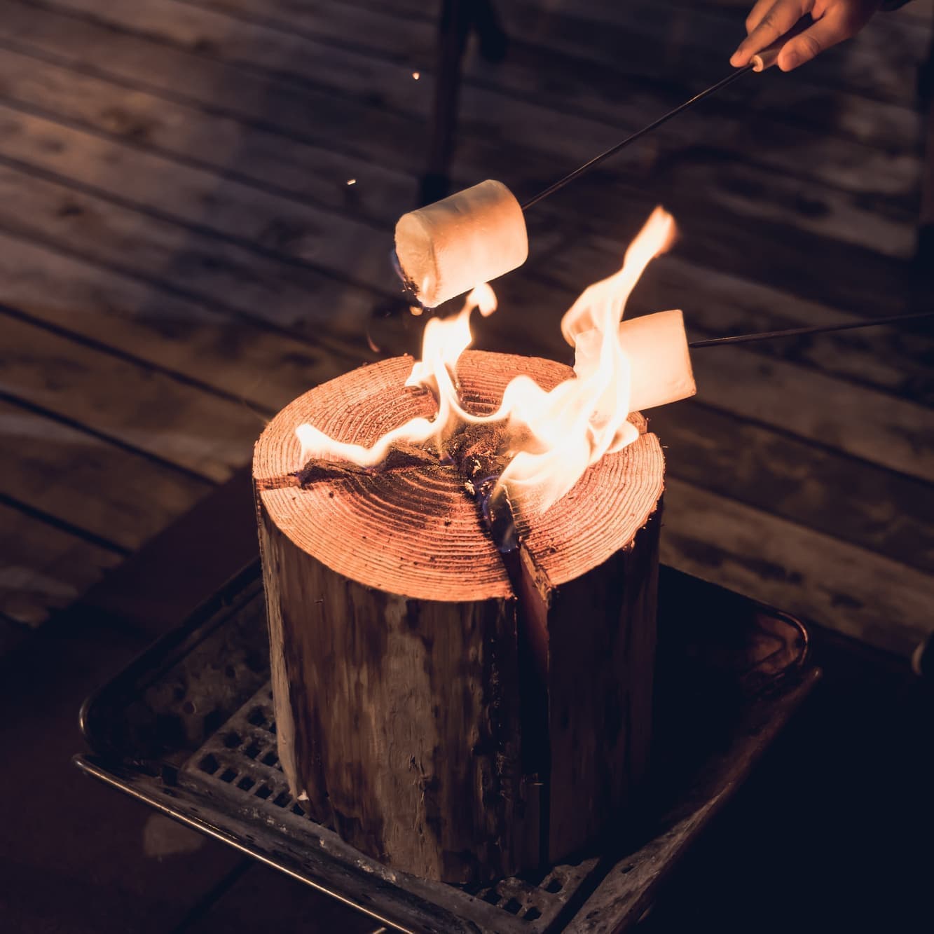 スウェーデントーチ